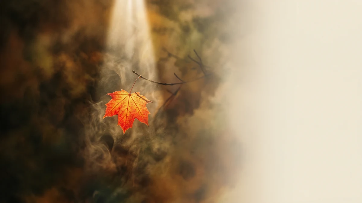 Capa: Figura e fundo na psicologia: o conceito que muda como você se vê