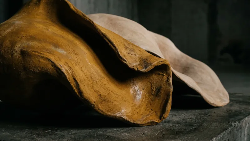 Ilustração: Relação figura e fundo na Gestalt-terapia