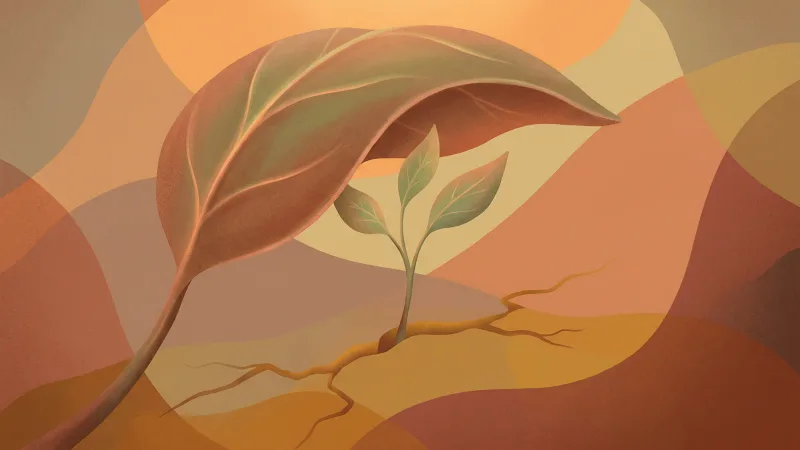 Ilustração: Representação abstrata da autocompaixão: uma pequena muda protegida por uma folha, crescendo em meio a rachaduras na terra, sob uma luz suave.