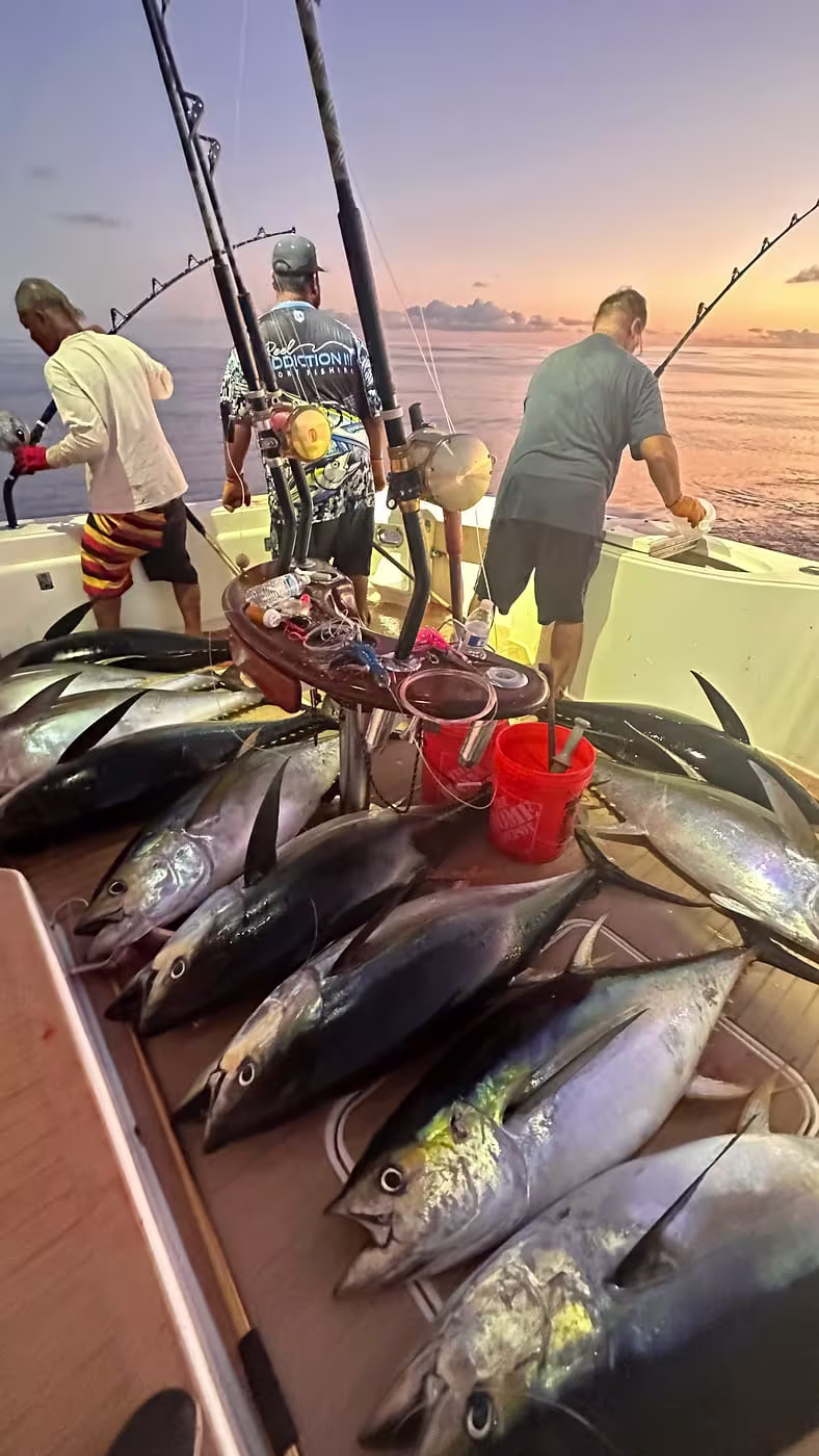Ahi catch - photo 1