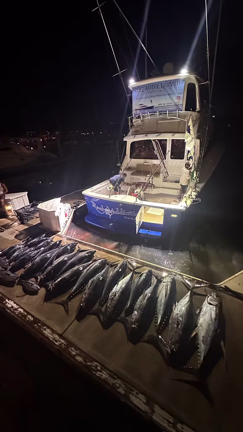Ahi catch - photo 3