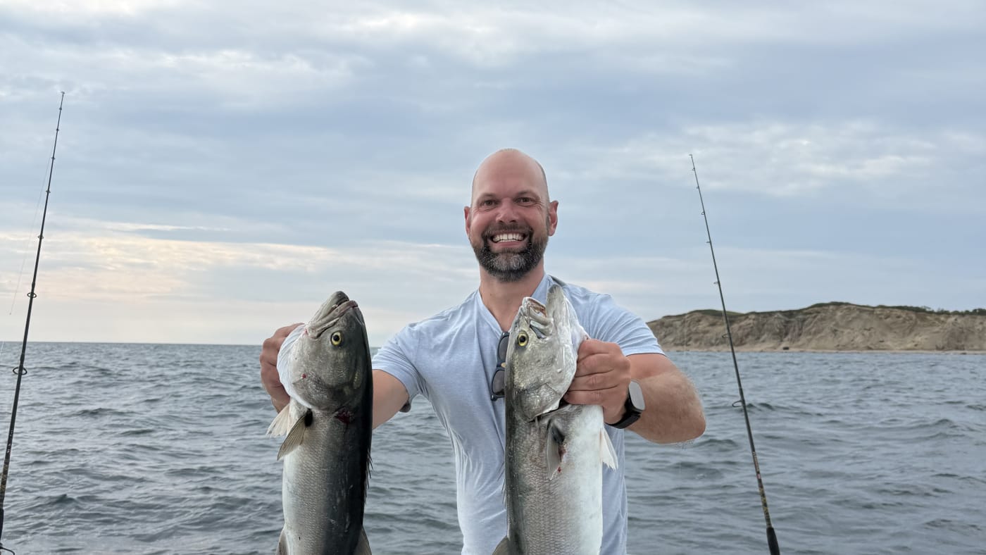 Fresh bluefish caught aboard the Hula Dog off Block Island, the catch behind Captain Matt King's grilled bluefish sensato