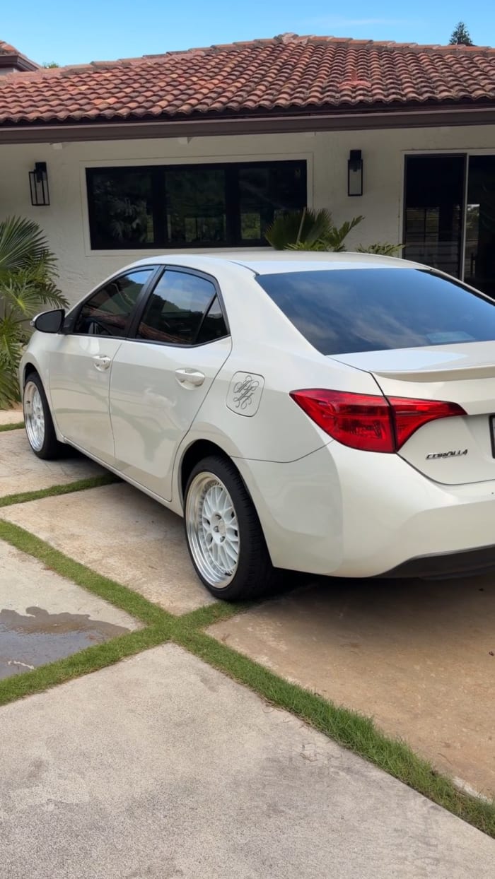 White Toyota Corolla detailed, glossy rear quarter