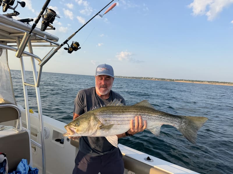 Angler in a gray cap admiring a large striped bass aboard the boat off Block Island