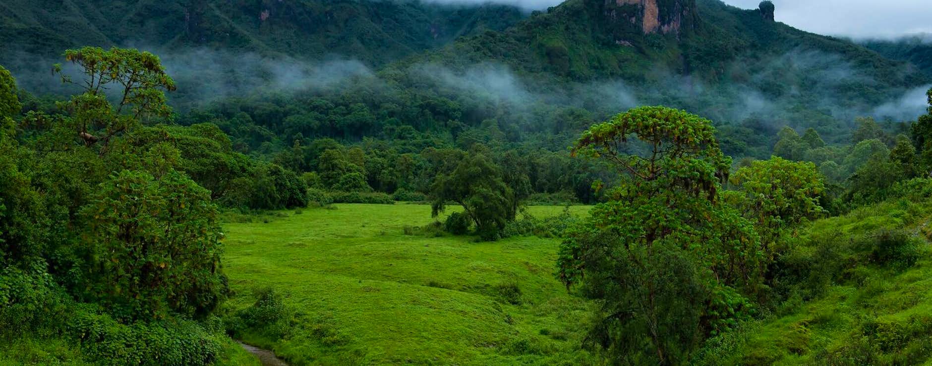 Bale Mountains