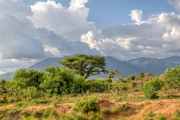 Omo Valley