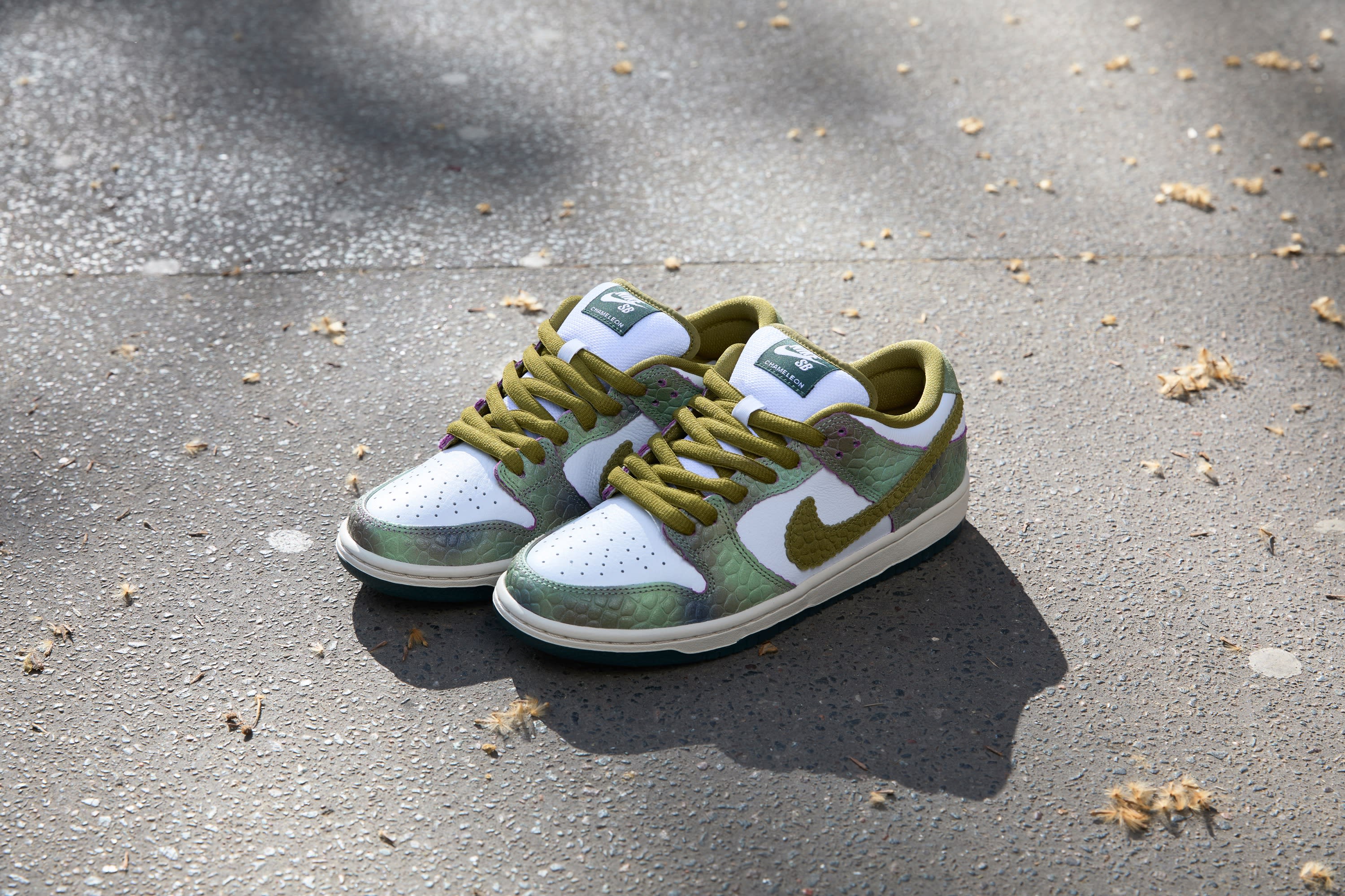 Nike SB and Converse Reveal 2024 USA Skateboarding Kit and Footwear NIKE Inc