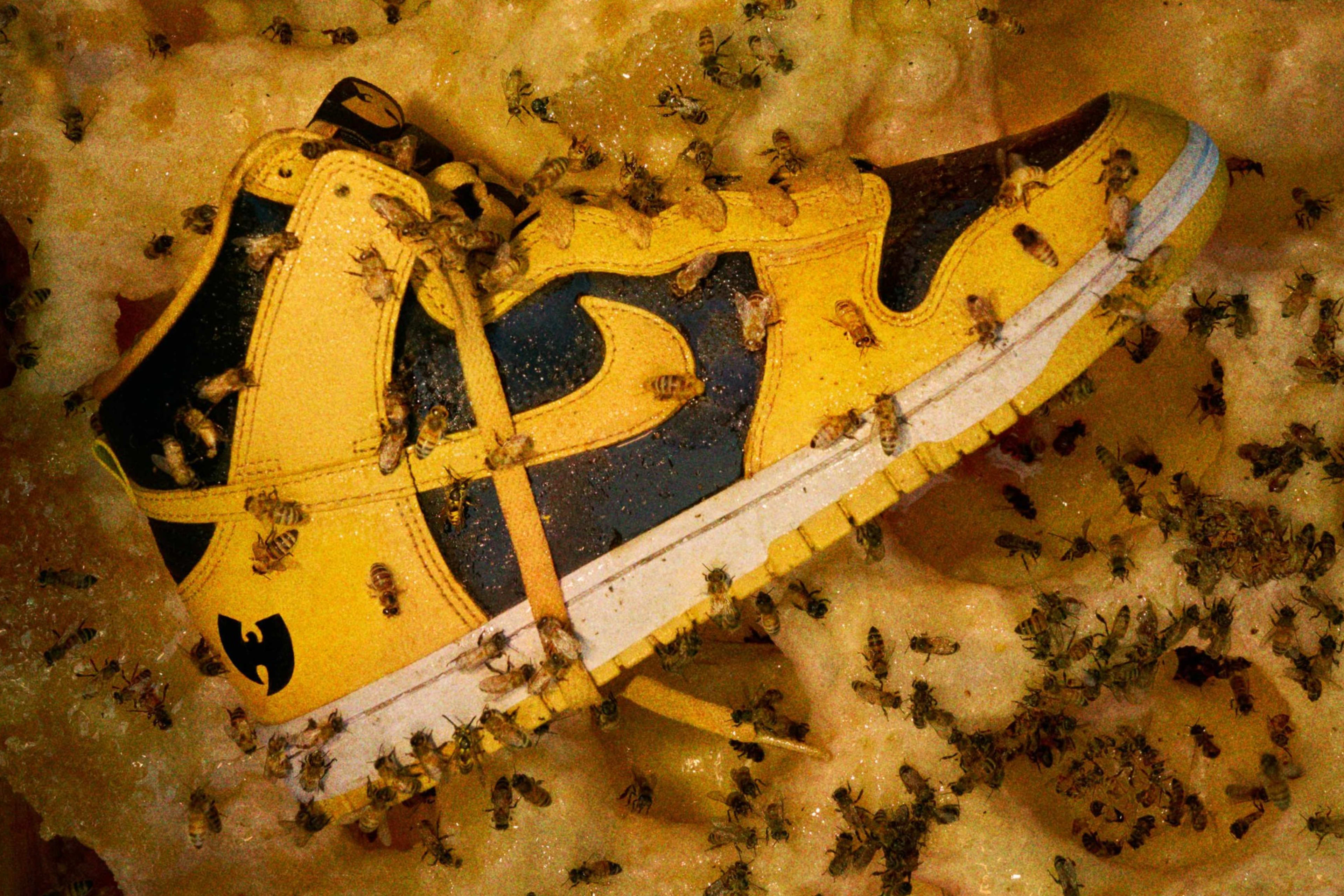 Nike sb dunk wu tang hotsell