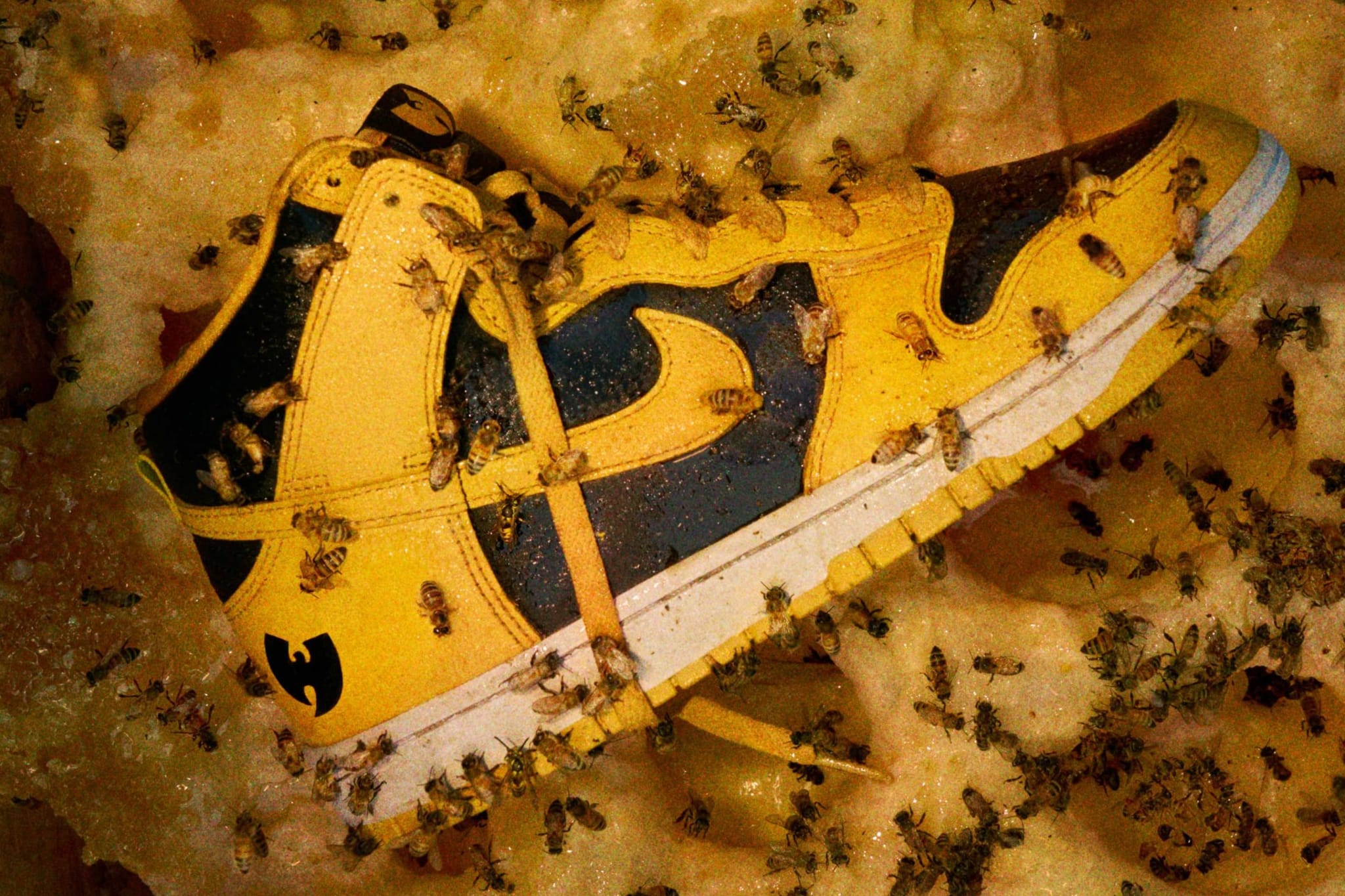Wu tang nike sb sale