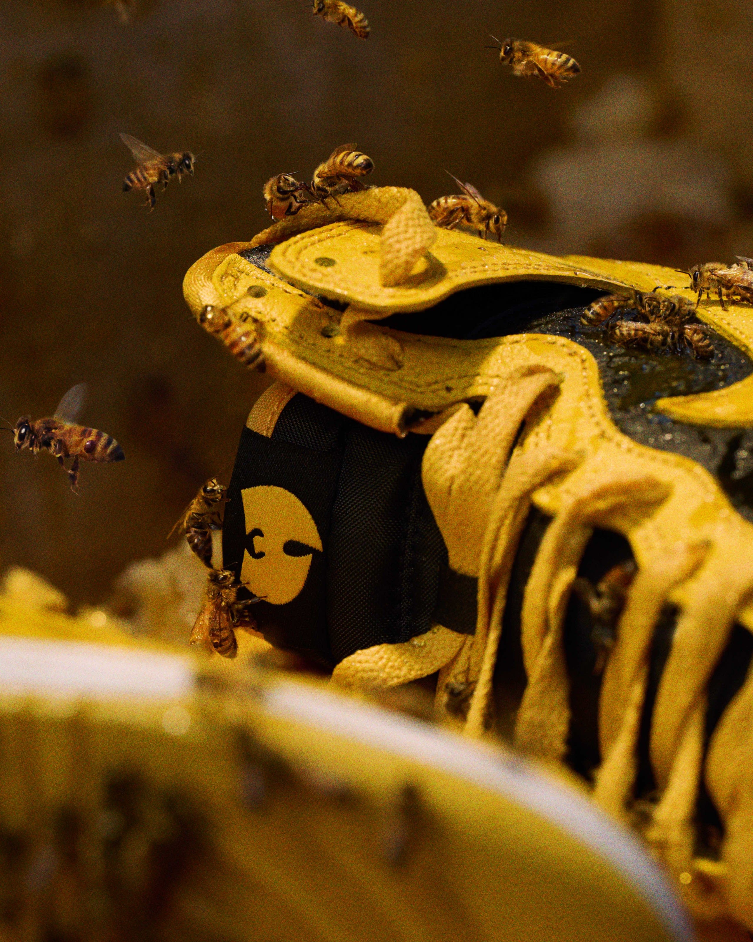 Wu tang sneakers nike online