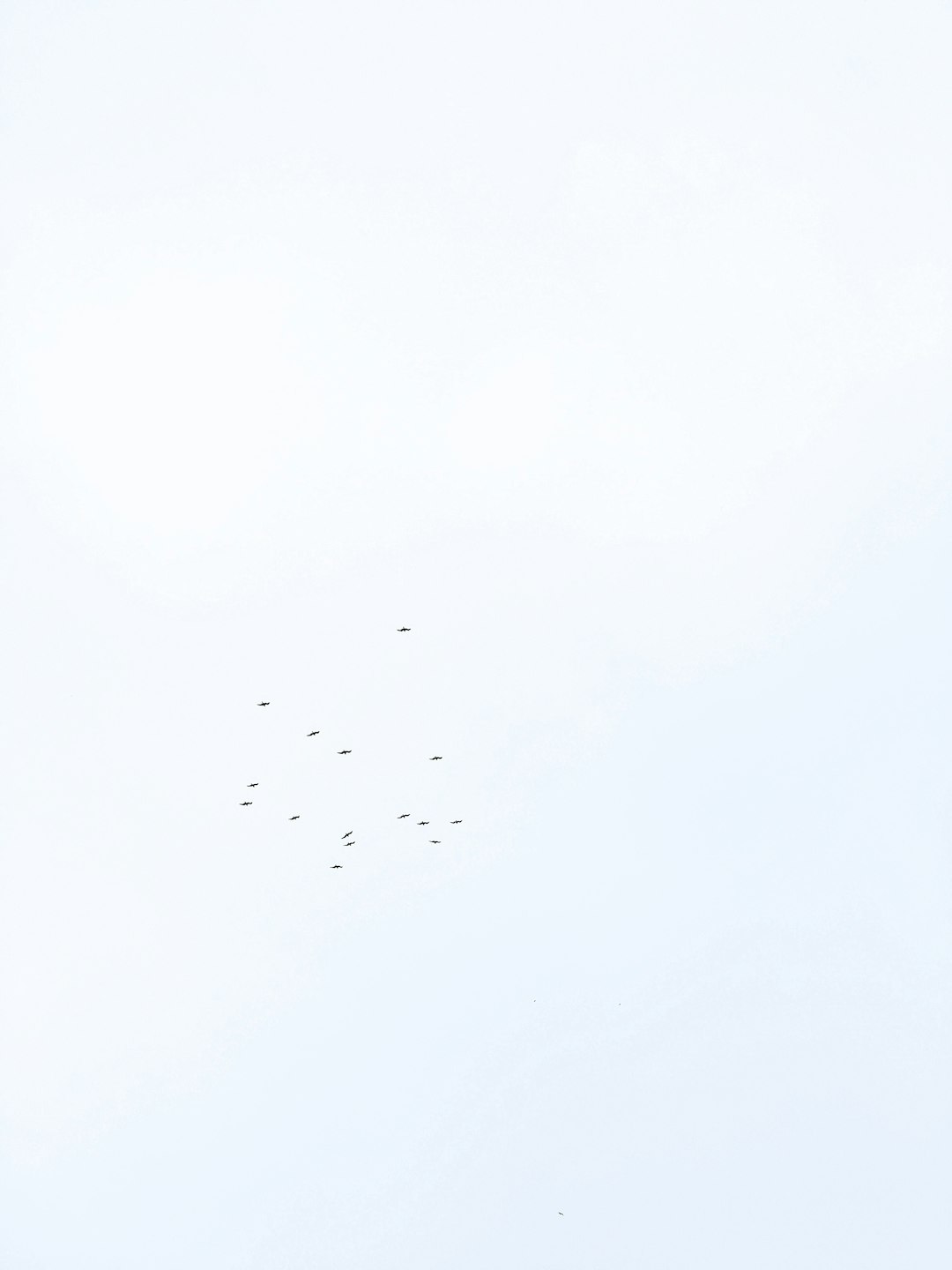 sl