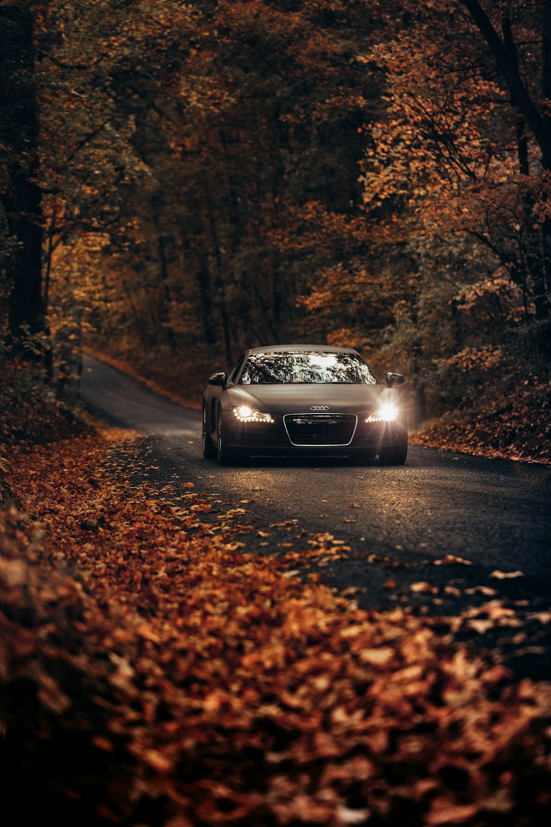 sl