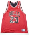 Bulls Jersey #23