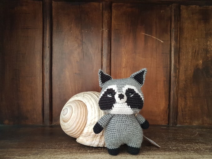 Tico, the raccoon - Image 2