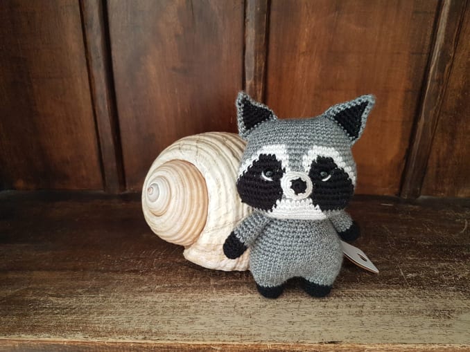 Tico, the raccoon - Image 1