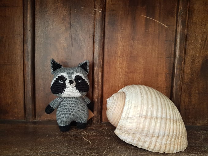 Tico, the raccoon - Image 3