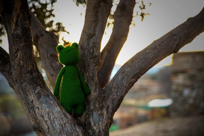 Olive Frog - Image 1