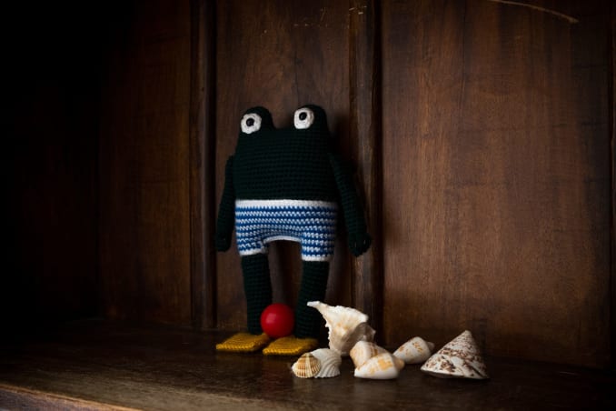 Victor, the frog - Image 4