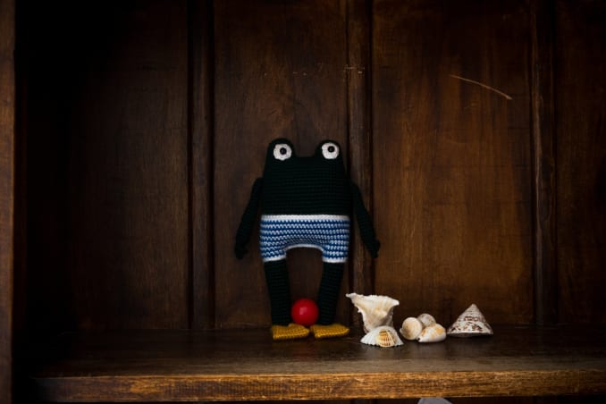 Victor, the frog - Image 5