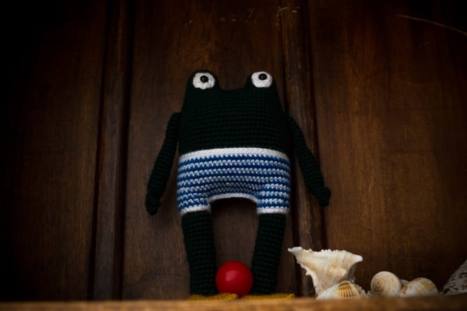 Victor, the frog - Image 6