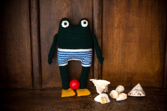 Victor, the frog - Image 2