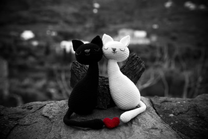 Agathos + Agathi, Gatos Enamorados - Image 1