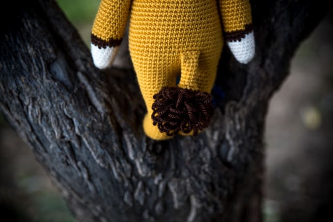 Loni the Lion - Image 6