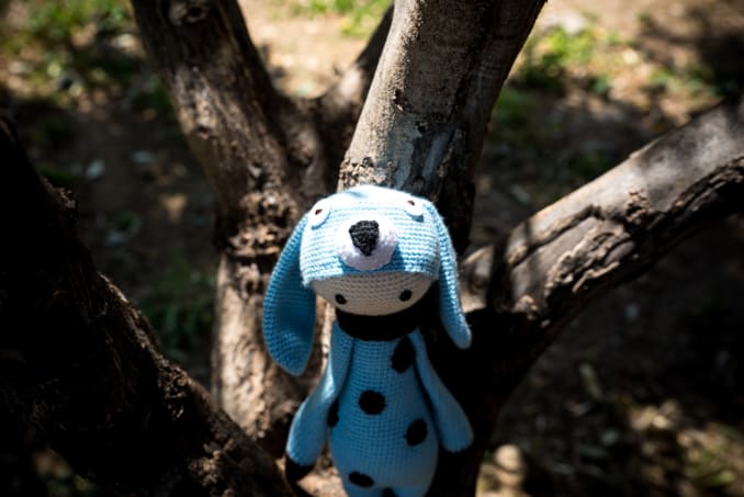 Spot the Dog - Image 4