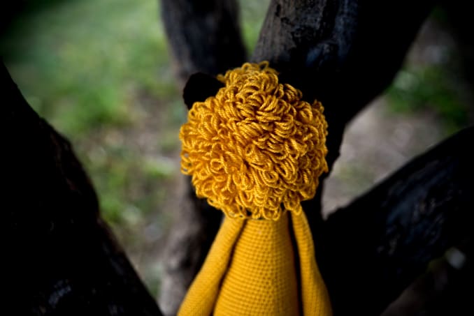 Loni the Lion - Image 5