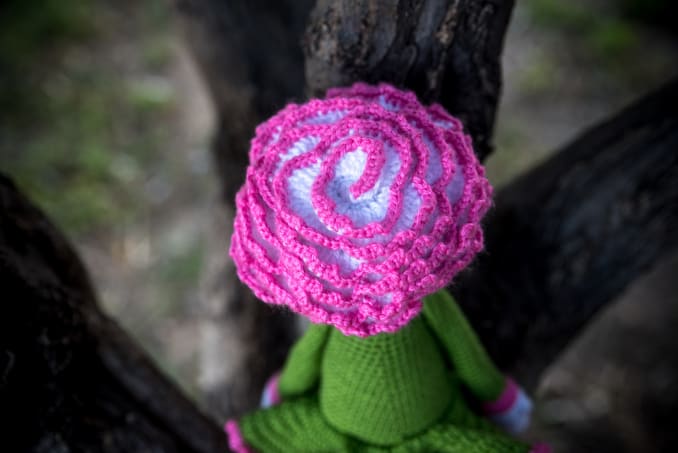 Cati the Carnation - Image 4