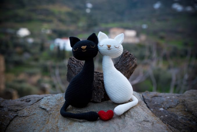 Agathos + Agathi, Gatos Enamorados - Image 4