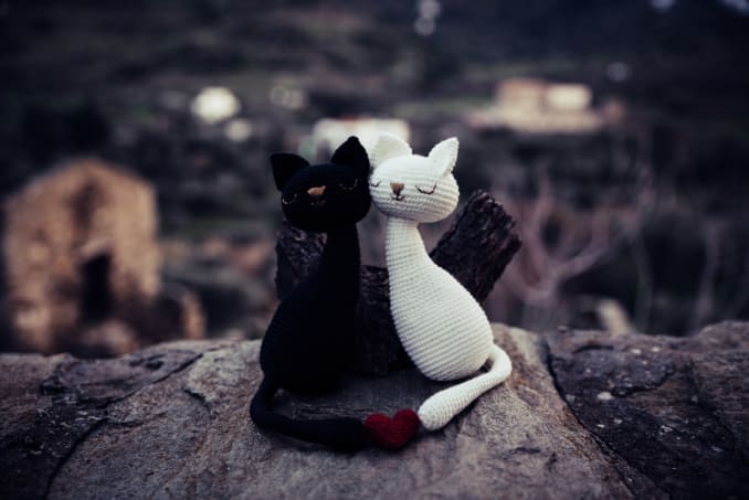 Agathos + Agathi, Gatos Enamorados - Image 6