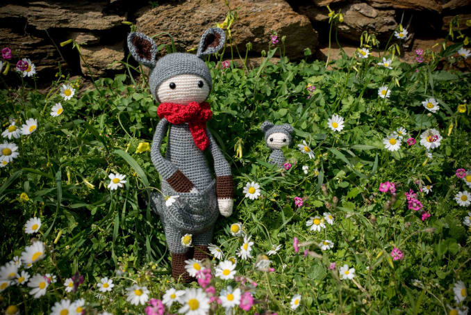 Kira, the kangaroo - Image 2