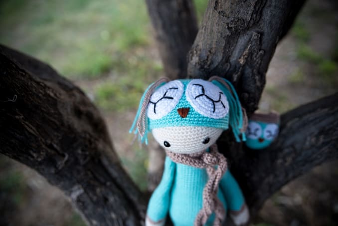 Olivia the Owl - Image 6