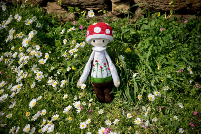 Paul the Mushroom - Image 3