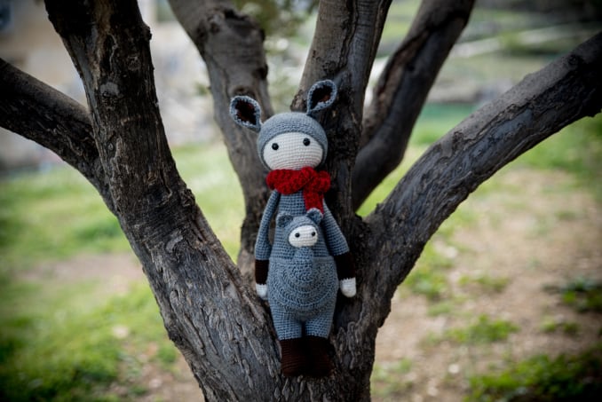 Kira, the kangaroo - Image 5