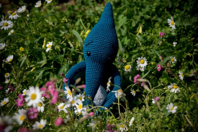 Petros the Pterodactyl - Image 3