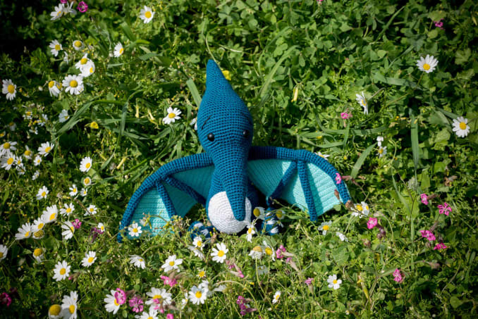 Petros the Pterodactyl - Image 5