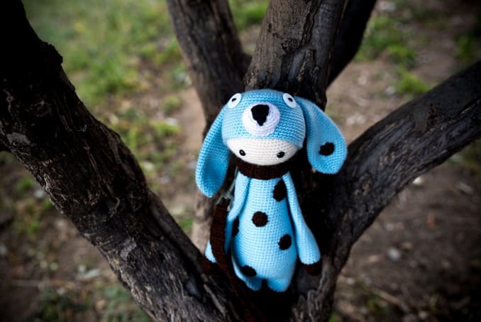 Spot the Dog - Image 6