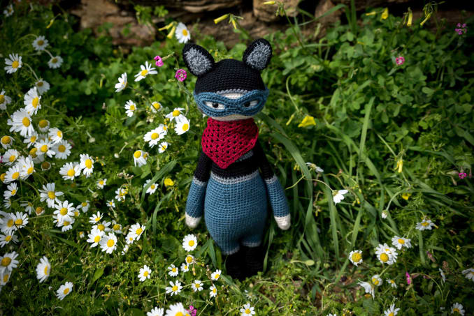 Roco, the Racoon - Image 2