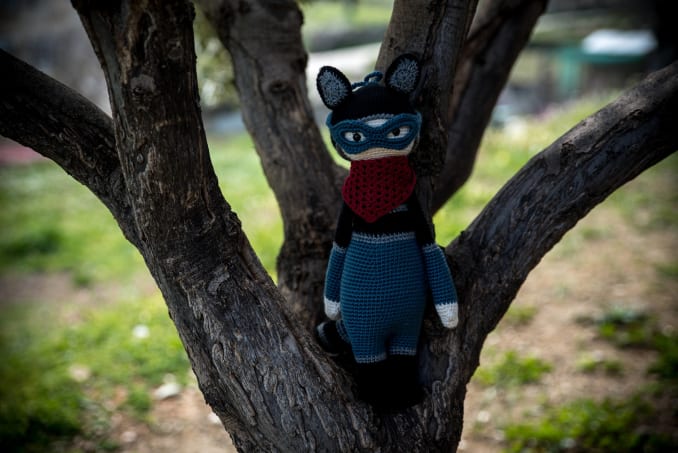 Roco, the Racoon - Image 4