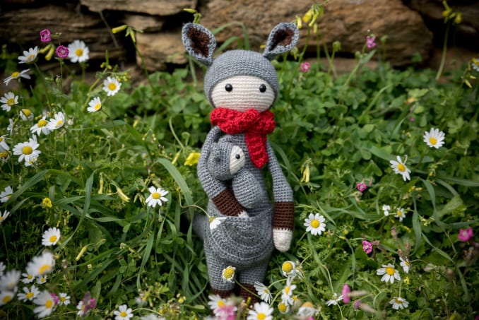 Kira, the kangaroo - Image 3