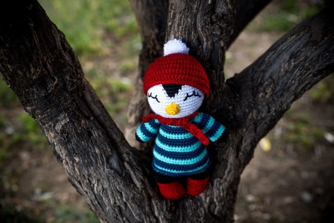 Coco, the Penguin - Image 3