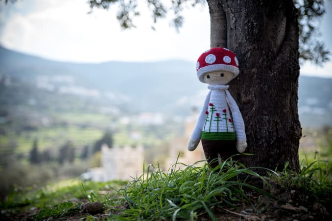 Paul the Mushroom - Image 4