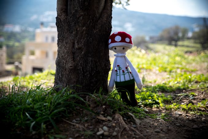 Paul the Mushroom - Image 2