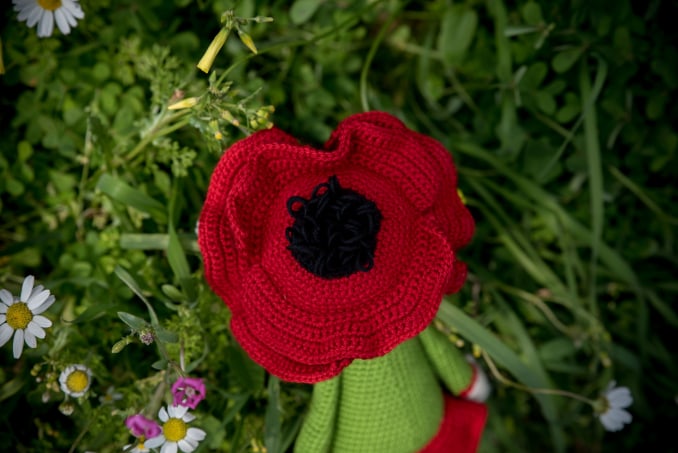 Paola, the Poppy - Image 4