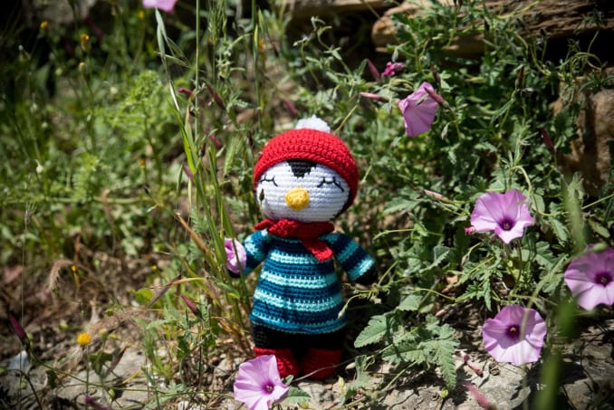 Coco, the Penguin - Image 2