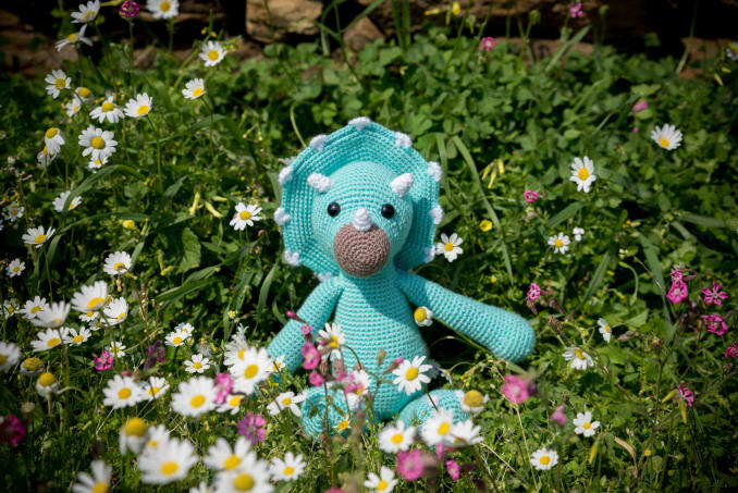 Tricia and Topsie - Image 5