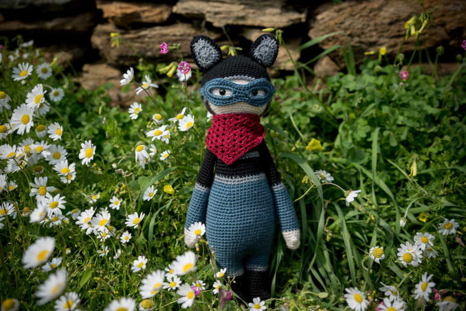 Roco, the Racoon - Image 1