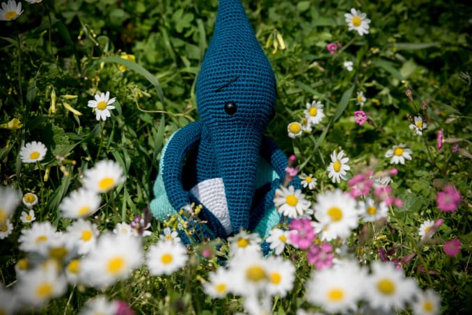 Petros the Pterodactyl - Image 2